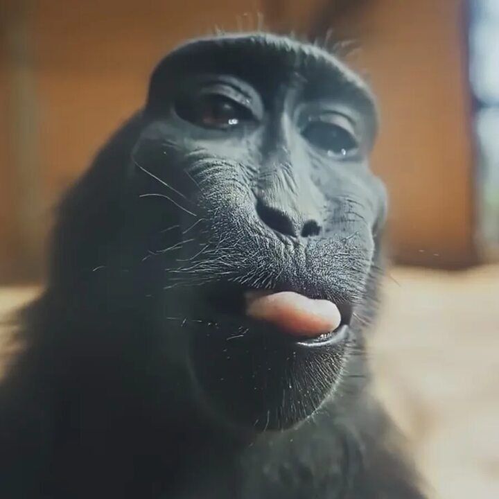 Seyriin