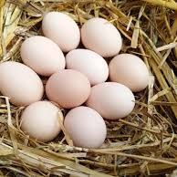 eGGsINMOUTH