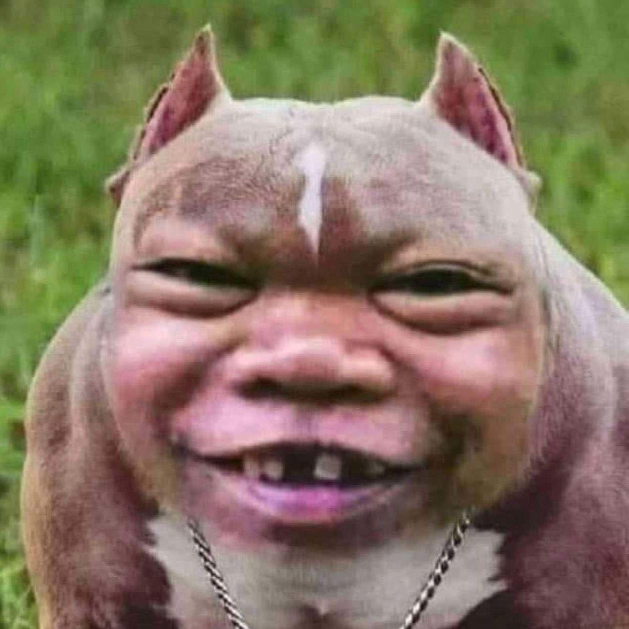 JanWeed