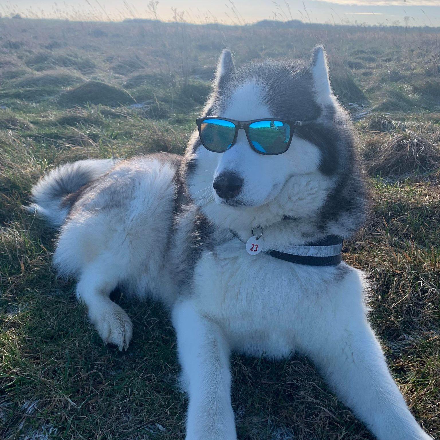 Silentraz avatar
