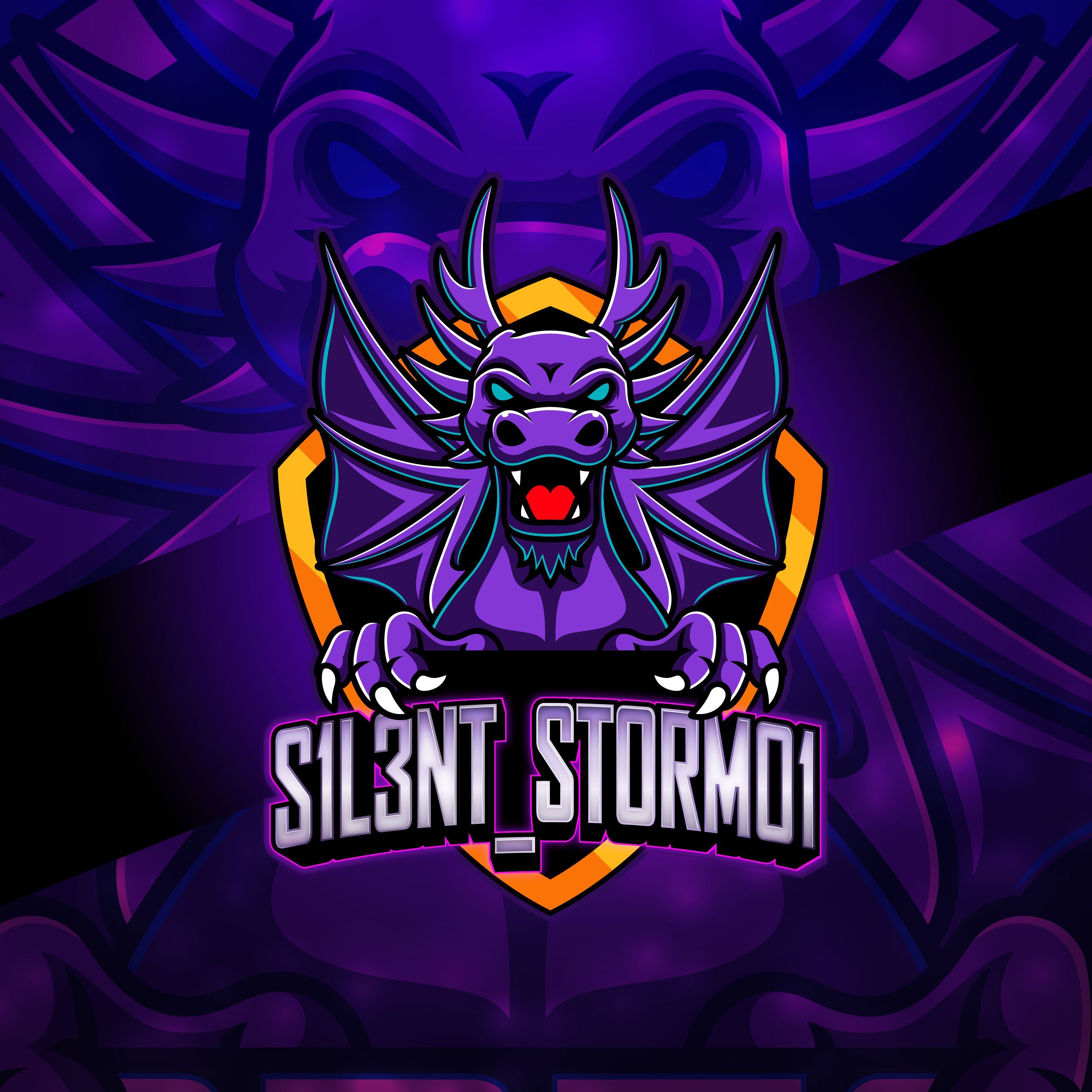 Sil3ntSt0rm