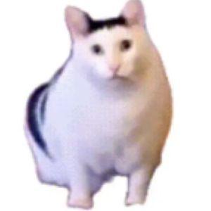Hayshong avatar