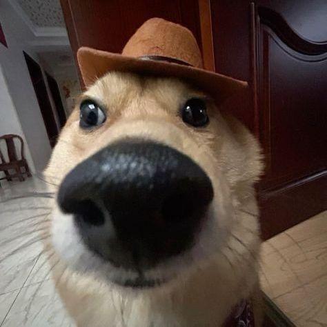 b1tfor avatar