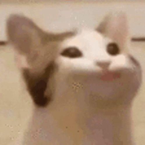 kpmo2 avatar