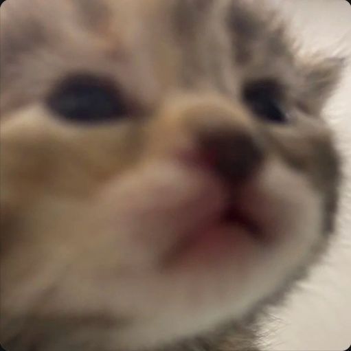 Faceit Avatar