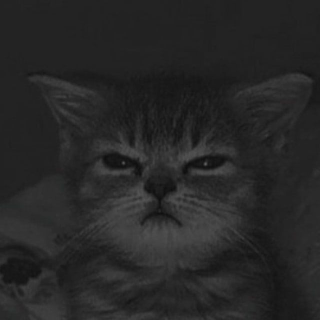 SEL_F