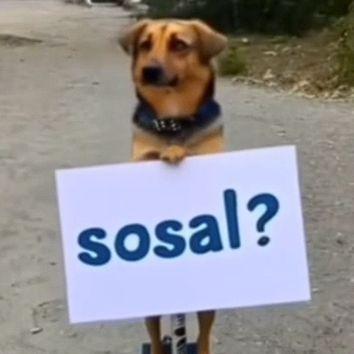 MsSex avatar