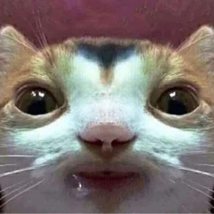 Ritlite avatar