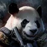 Panda_voo avatar