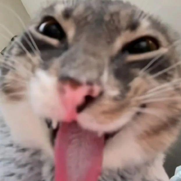 grenaldyny avatar