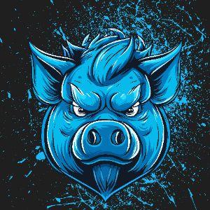 Player Schweiney avatar
