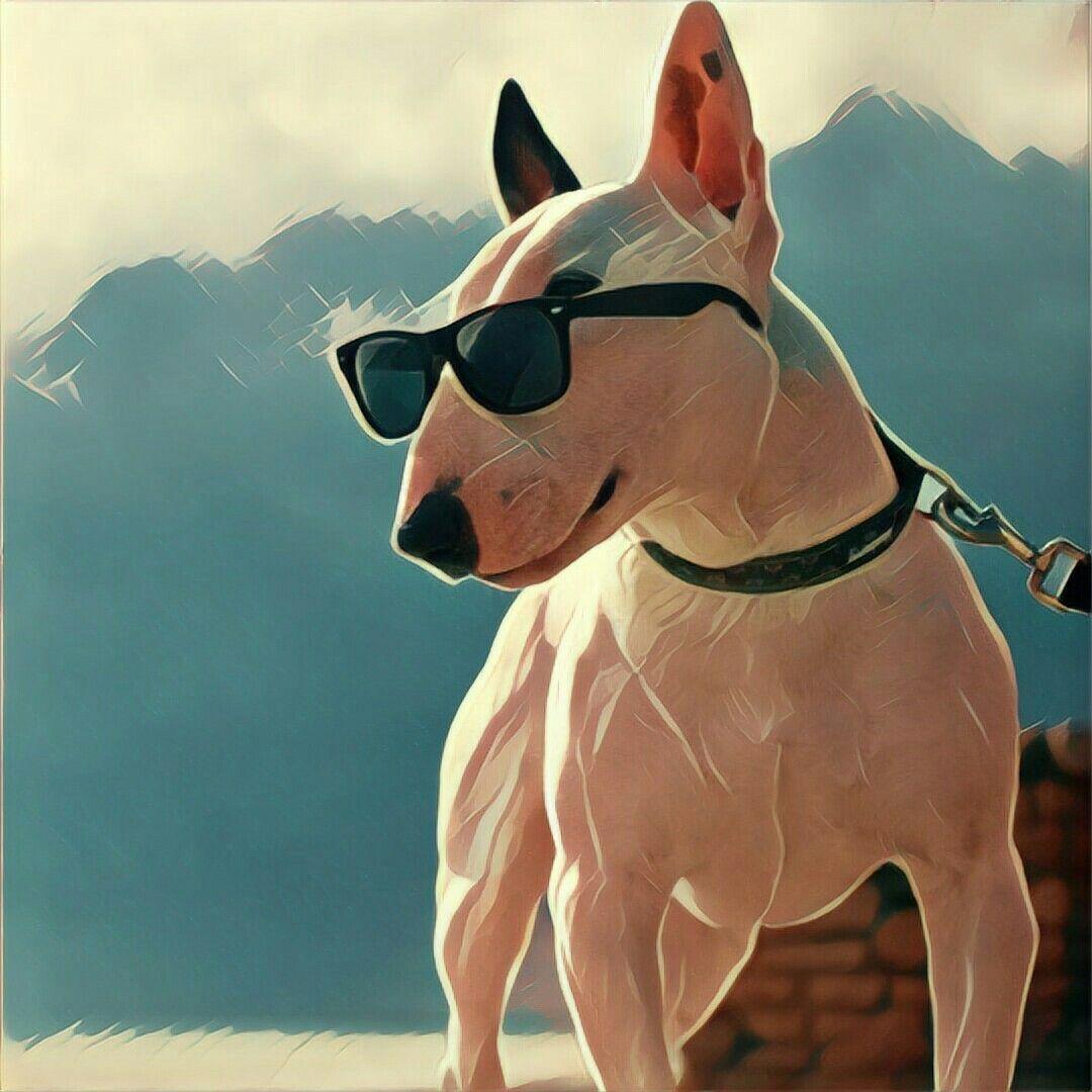 TRYH4RD_GG avatar