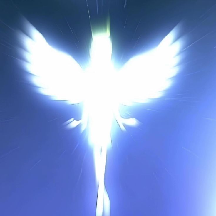 vertuxa777