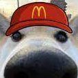 dimdim4m avatar