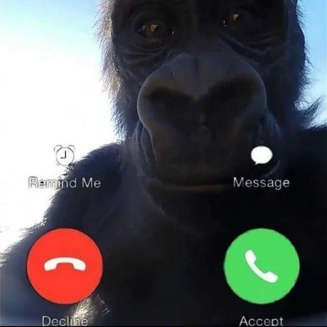 Akuru00 avatar