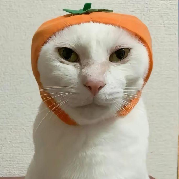 Feretery avatar