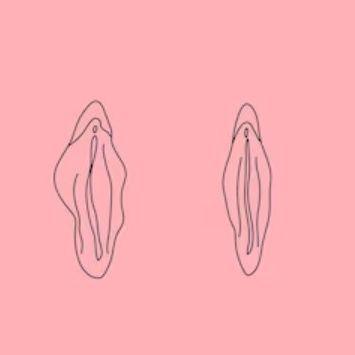 JabbaWcks avatar