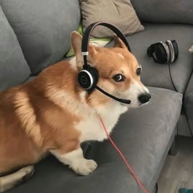 DOUGIDOUGI