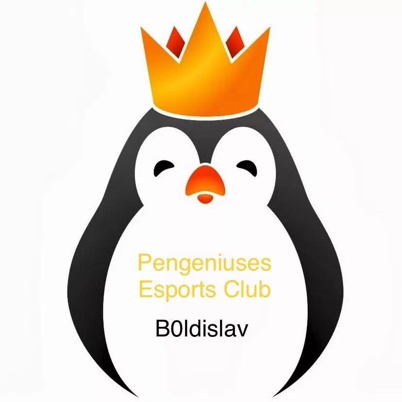 BolDislav avatar