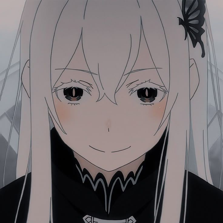 NziK