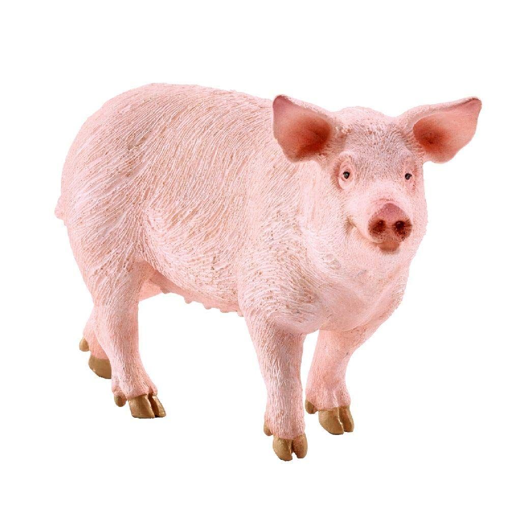 snusus3r