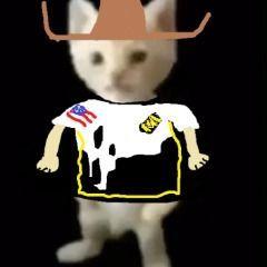 Natus Catcere