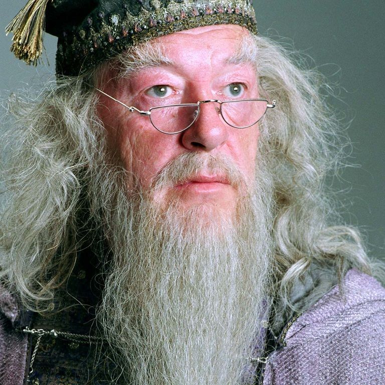 team_Dumbledoor69