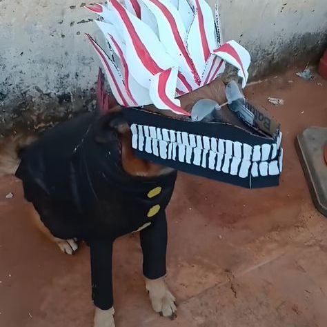 Drozun