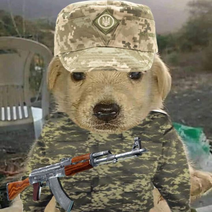 FrozenKrumkachi