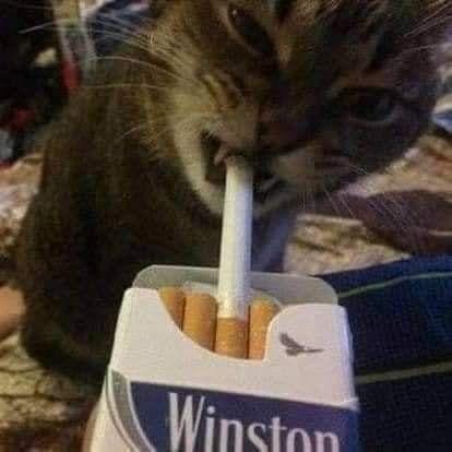 T0K1T00