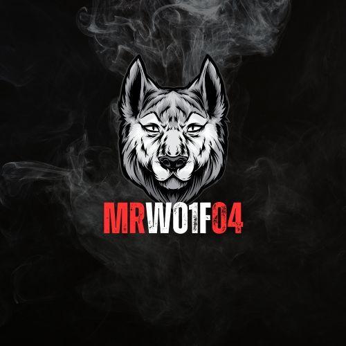 MrWolf04 avatar