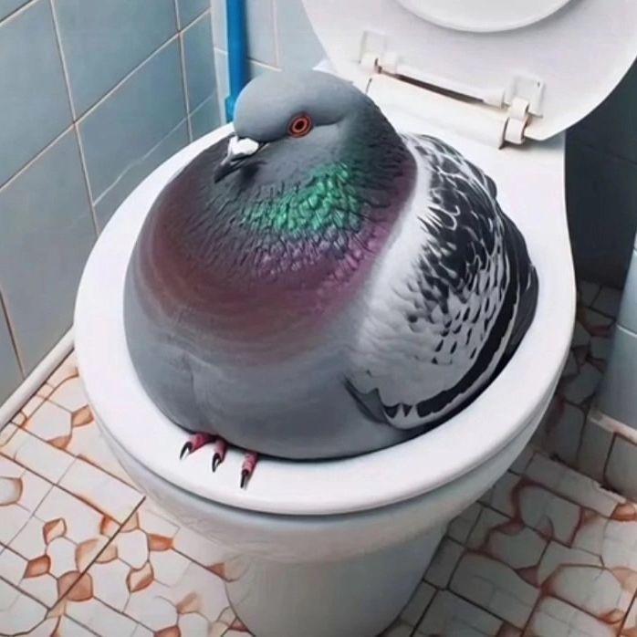 TpoJI9M6a