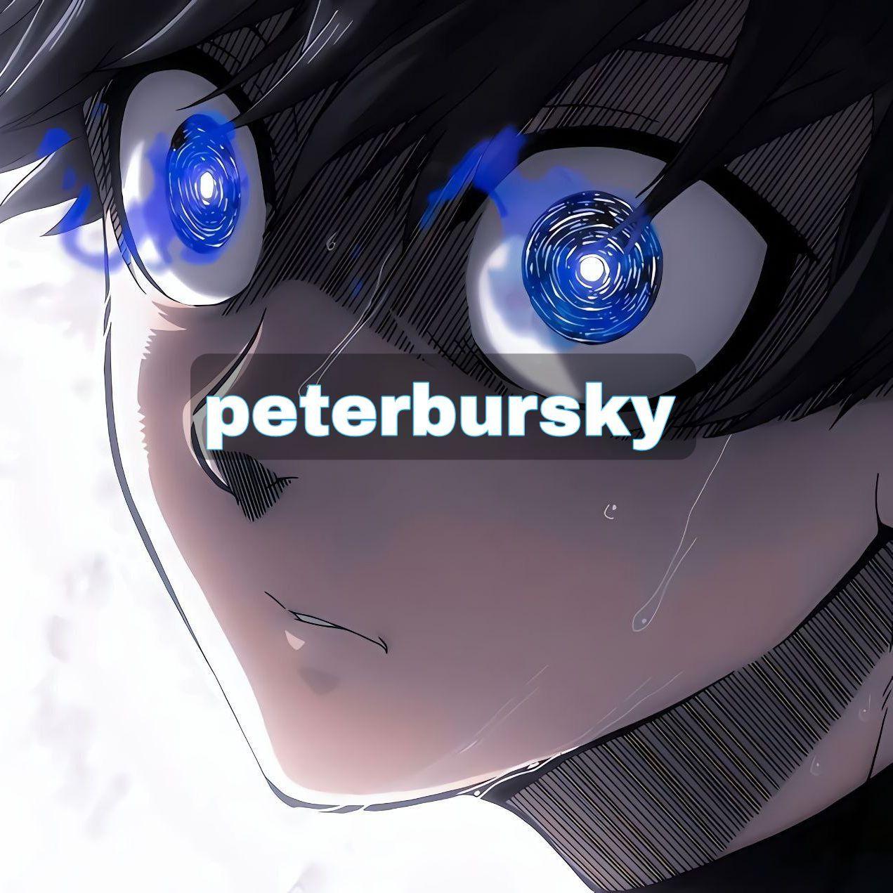 Player Peterbursky avatar