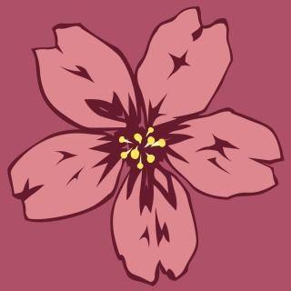 ARD901 avatar