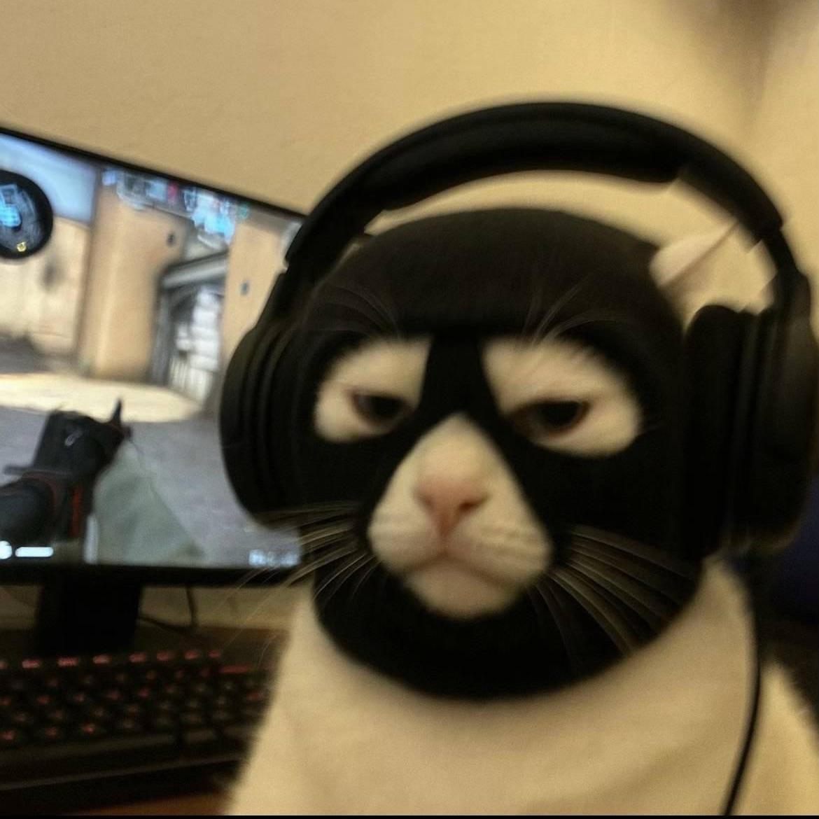 Faceit avatar