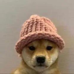 dogwifhat- avatar