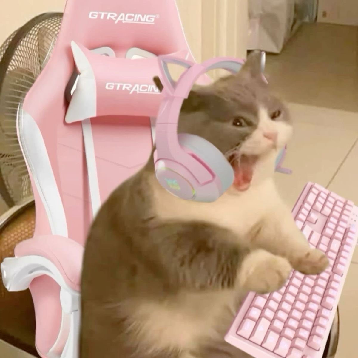 nekomorph