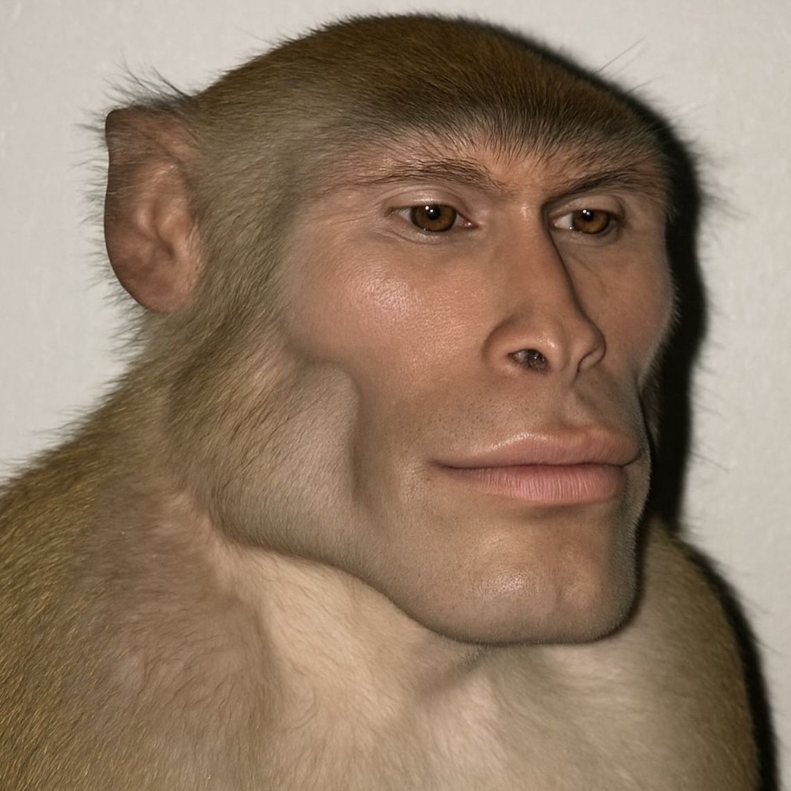 Etobaz