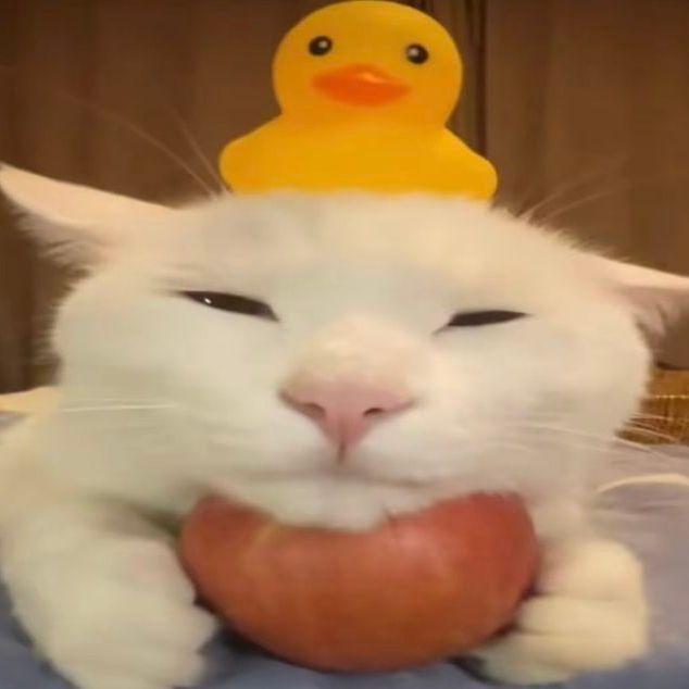 MlodyBOSS420 avatar