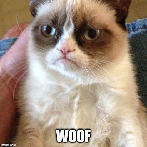 Martian-woof avatar
