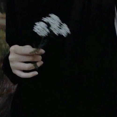 Jxxcob
