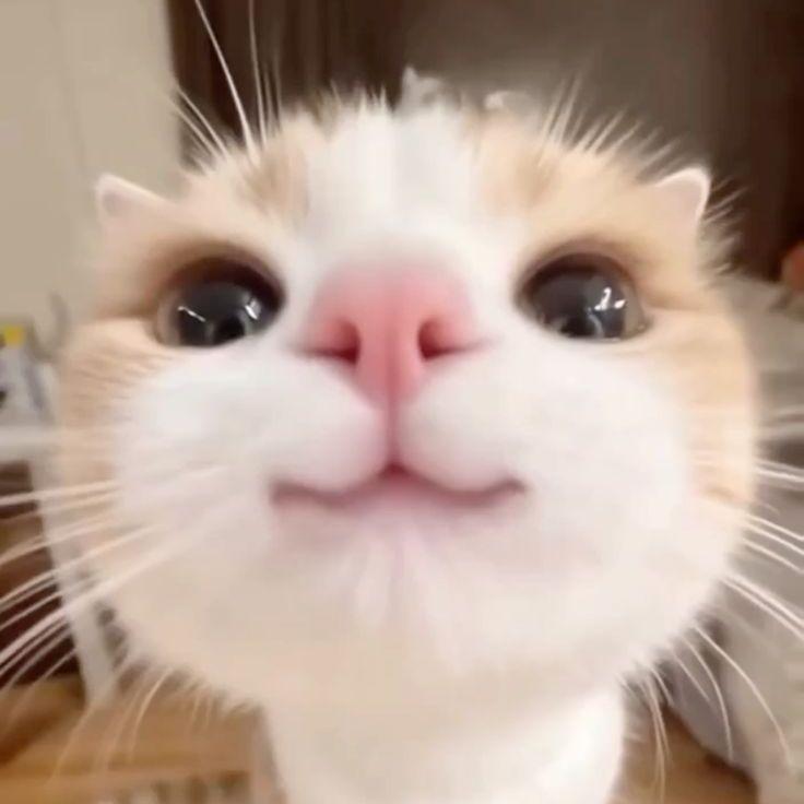 Azatikson avatar