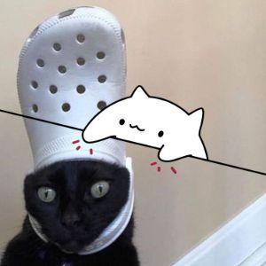Vik1ng9 avatar