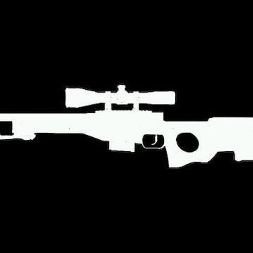 team_AWPlayer