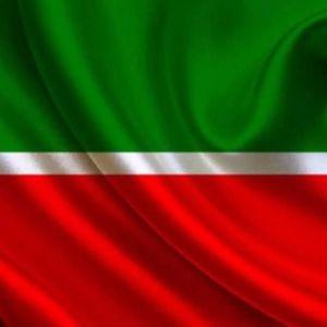 4e4naNaSvazi avatar