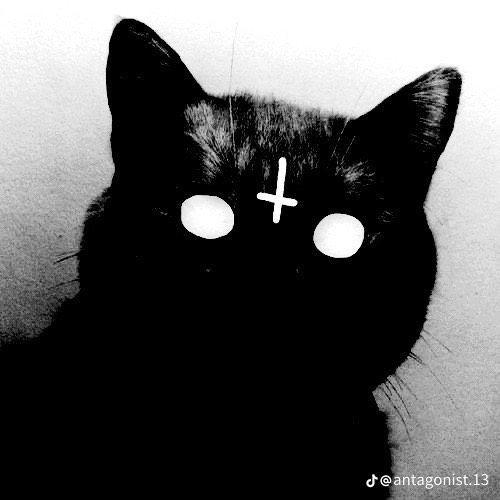 Madis666 avatar
