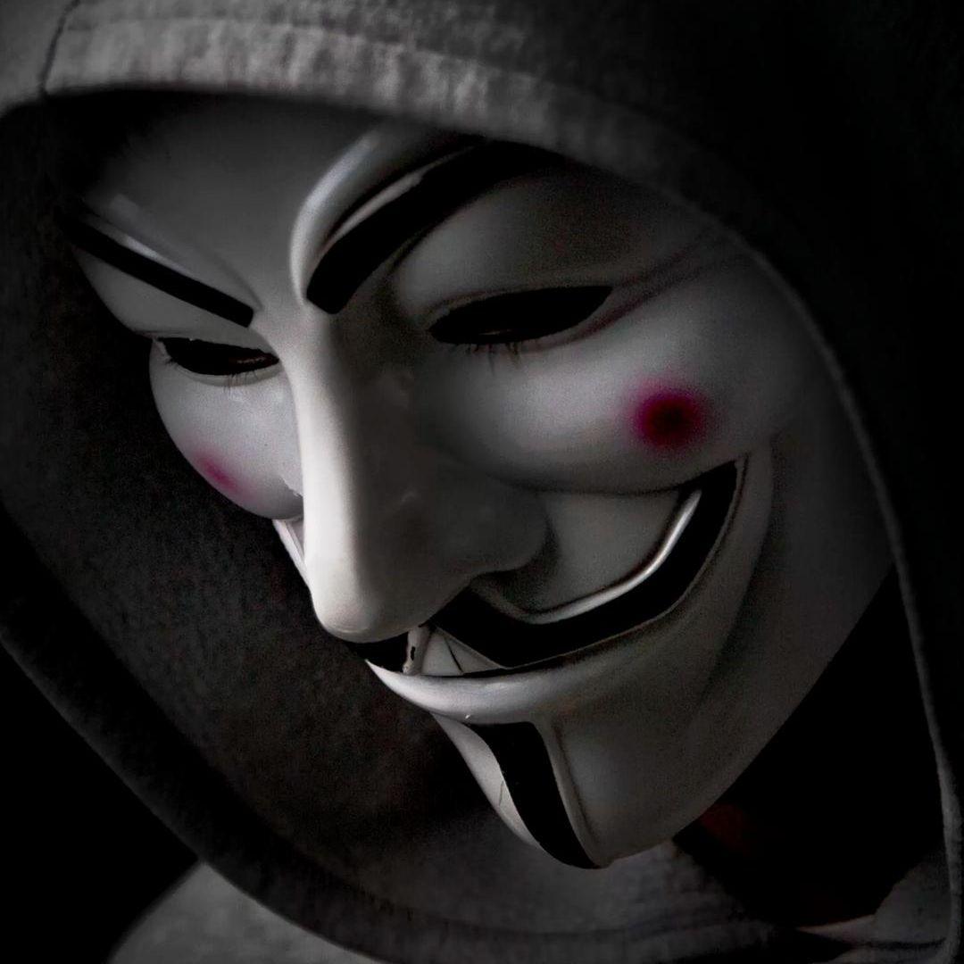 mrvitelo avatar