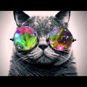 d3z-- avatar