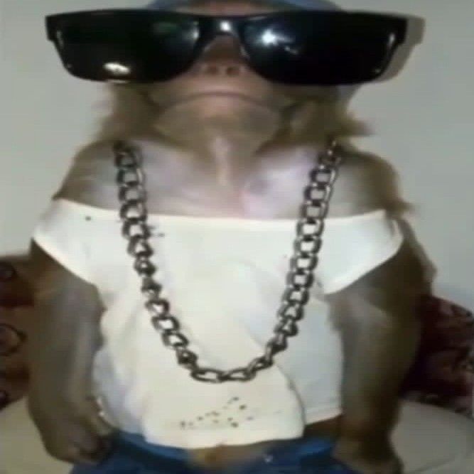 Nisllerok