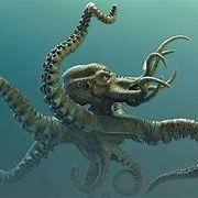 KrakEnNn